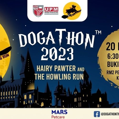 xport-outfit-upm-dogathon-2023-event